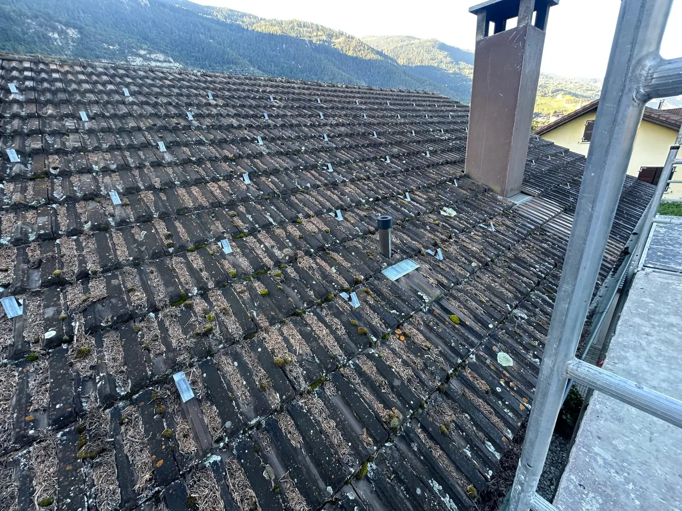 Toiture en tuiles avant nettoyage et traitement